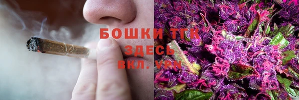 ПСИЛОЦИБИНОВЫЕ ГРИБЫ Верея